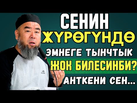БАКТЫСЫЗ АДАМ МЭЭРИМСИЗ БОЛОТ! СЕНИН ЖҮРӨГҮНДӨ ЭМНЕГЕ ТЫНЧТЫК ЖОК БИЛЕСИҢБИ?