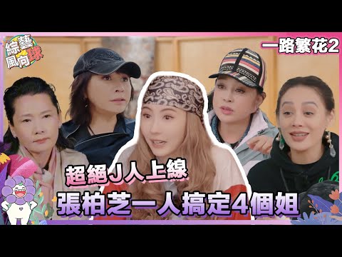 旅行領隊一人搞定四個姐!#張柏芝 的待人之道我將逐幀學習! @綜藝風向球 #一路繁花2 #TheBloomingJourneyS2