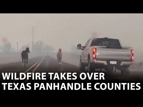 Texas Panhandle wildfires force evacuations
