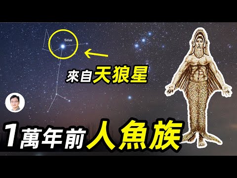 天狼星來的人魚族！美人魚不是你聽到的那樣，一萬年前他們從天外來，幫助人類開創了文明【文昭思緒飛揚102期】