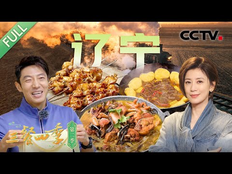 【Full】小鸡炖蘑菇 铁锅炖大鹅 沟帮子熏鸡 锦州烧烤 豆角烀饼 牛肉火勺……和撒贝宁、贾静雯、乔振宇一起畅享舌尖上的辽宁韵味！| CCTV「三餐四季 第二季」第5期 20250223