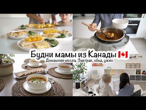 A Canadian Mom's Daily Life🇨🇦Homeschooling📚Breakfast🍳Lunch🥣Dinner🍛