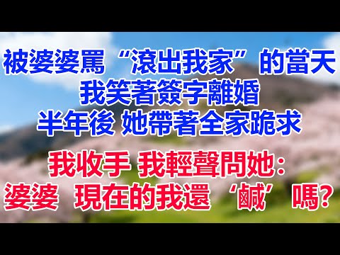 被婆婆罵“滾出我家”的當天，我笑著簽字離婚，半年後她帶著全家跪求我收手，我輕聲問她：婆婆 ，現在的我還‘鹹’嗎？