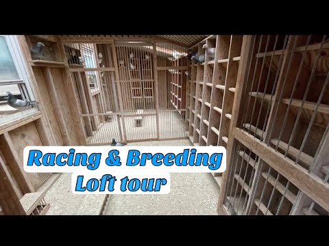 A detailed tour of my lofts