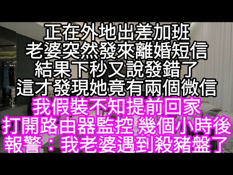正在外地出差加班老婆突然發來離婚短信結果下秒又說發錯了這才發現她竟有兩個微信  我假裝不知提前回家打開路由器監控 #心書時光 #為人處事 #生活經驗 #情感故事 #唯美频道 #爽文