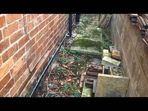 A rising damp case history - in a bone dry house.