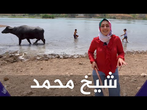 قرية مشهورة بصناعة "الدهن الحر" تعالوا خلي نتعرف على قرية #شيخ_محمد وعلى عادات اهلهم الطيبي❤😍#مشوار