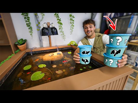 Building a POND Full of BABY TURTLES!! (Start to Finish)
