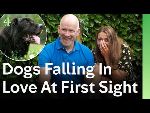 Dogs Falling in Love at First Sight as they Meet Their New Families | The Dog House 🐶