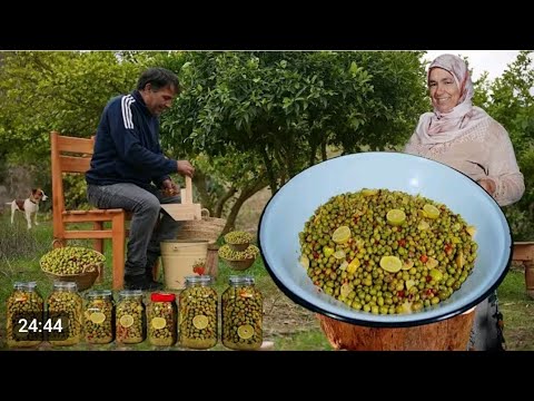 صرحة هذو من احسن صناع المحتوى بنسبا ليلي 