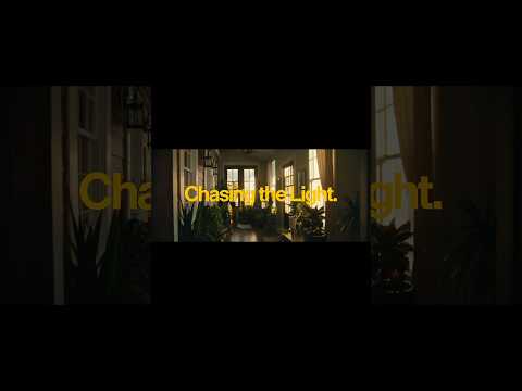 Chasing the light (with anamorphics) ✨ #cinematography #nikonzr #film #cinematic
