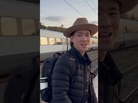 A sneak peek at my new train series...