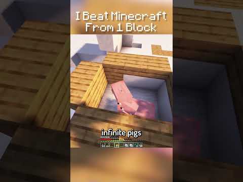Part 19. I Beat Minecraft From 1 Block