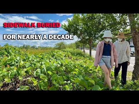 Sidewalk buried for nearly a decade by the household waste of surrounding neighbors