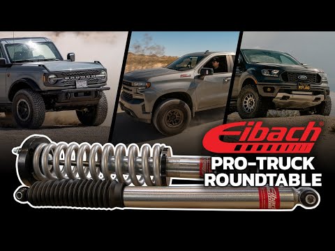 Eibach Triple Pro-Truck Shock Review! Silverado - Bronco - Ranger