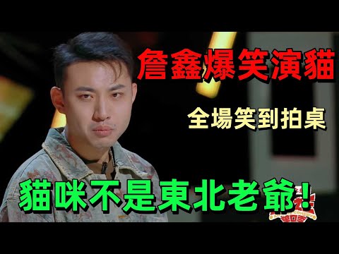 【喜剧之王单口季1】詹鑫爆笑回忆艺考经历，被吐槽猫咪不是东北爷们儿！社恐日常 + 离谱生活梗连环炸，台下笑到根本停不下来