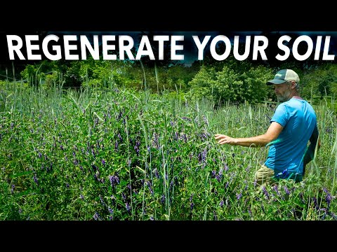 Cover Cropping for Soil Health | No-Till and Low-Till Strategies