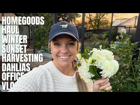 Warning: This Vlog Has No Plot (But Lots of Pretty Things)