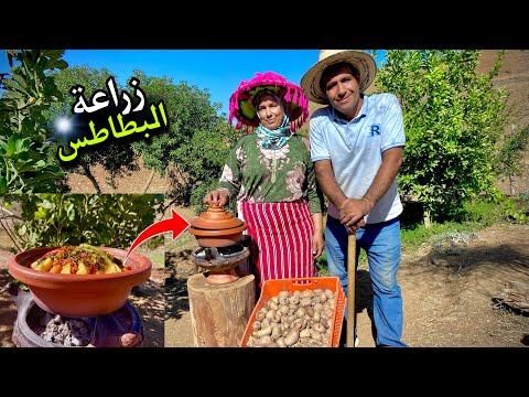 زراعة البطاطس بسهولة فائقة و طبخ الدجاج البلدي للغذاء
