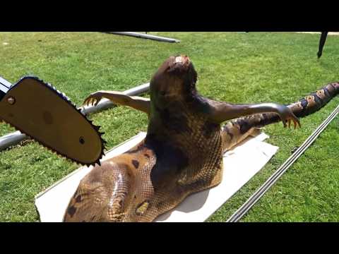 Wait For It... You Won't Believe Your Eyes!