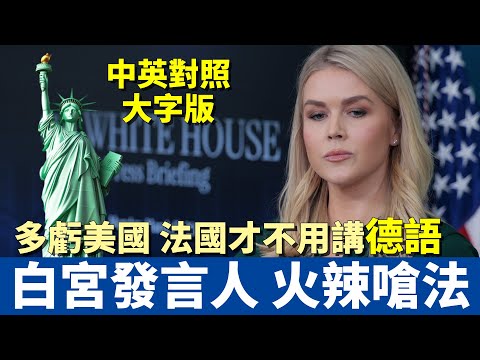 英文聽力訓練 | 白宮發言人卡羅琳 火辣回嗆法國 | 多虧美國 法國才不用講德語 | 大規模遣返黑幫份子 | White House Karoline Leavitt