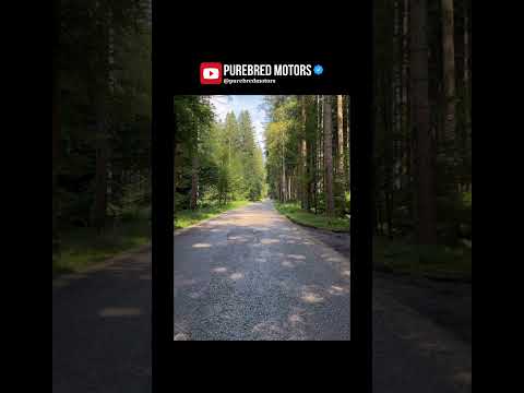 Porsche GT3RS Launch control sounds absolutely insane! Credit @Gercollector