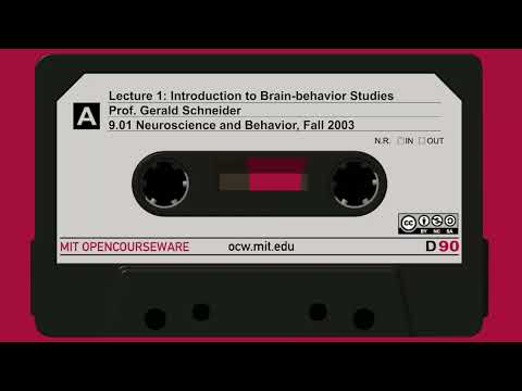 Lecture 1: Introduction to Brain-behavior Studies