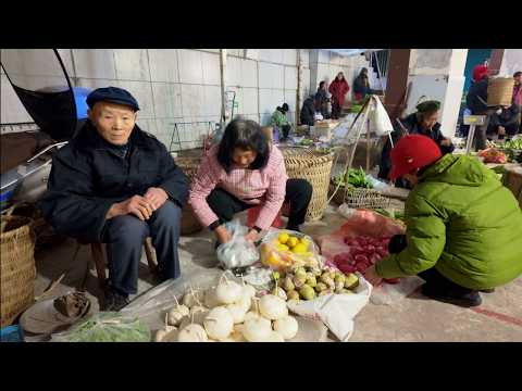 Harvest Radishes to Sell in Rural Market