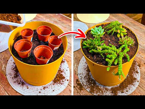 Useful & Easy Garden tricks for Masters and Beginners