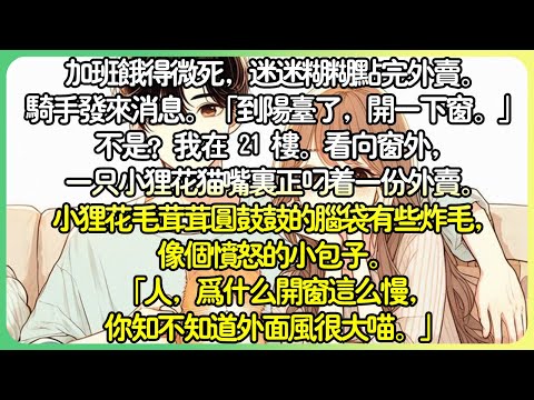 腦洞治癒💕加班餓得微死，迷迷糊糊點完外賣。騎士發來訊息。 「到陽台了，開一下窗。」不？我在 21 樓。窗外，一隻小狸花貓嘴裡叼著一份外賣。小狸花毛茸茸圓鼓鼓的頭有些炸毛，像個憤怒的小包子。#薄荷听书