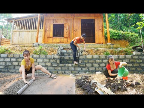 CEO Girl Left the City for the Forest -  Build Front Yard with High Embankment - Raising Geese