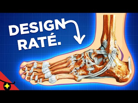 5 ÉCHECS du Corps Humain 🦶