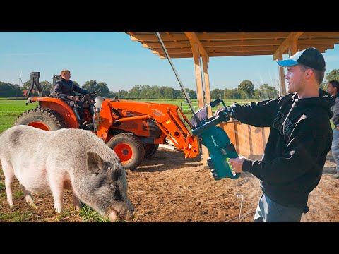 We must REBUILD our PASTURES!