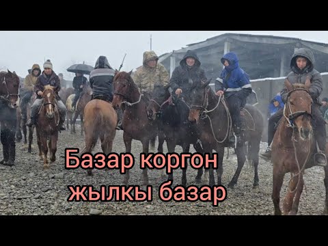 Бугун 21 декабрь 2025 Базар-коргон жылкы базар #жылкыбазар #арабскиелошади #продажалошаде