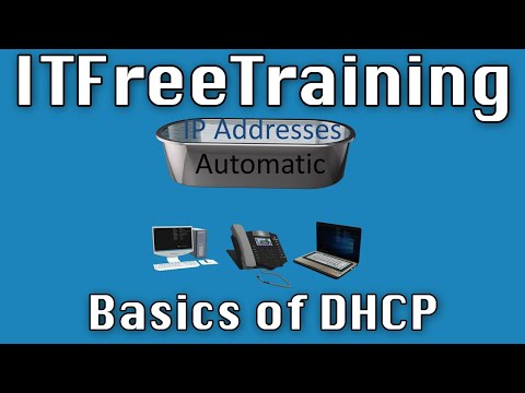 Basics of DHCP