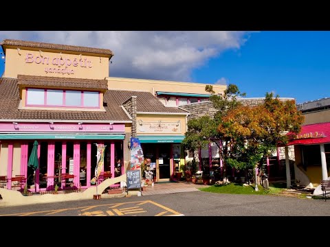 🎄クリスマスに行くべき店🍞開放的な雰囲気が魅力のケーキ＆ベーカリーカフェのパン作り！【ボナペティ・ヤナギヤ】Amazing Skills of Japanese Bakers