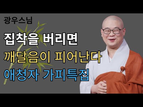 ⭐ 집착을 버리면 깨달음이 피어난다｜광우스님 소나무 애청자 가피특집 몰아보기