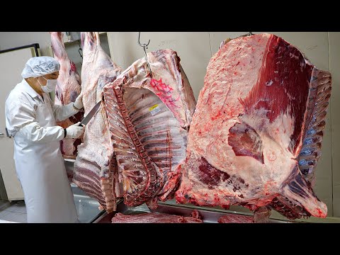 Unbelievable Beef Cutting Skills!! Best Korean-style Beef BBQ / Korean street food
