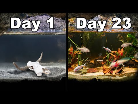 I Made an Under Ground Cave Ecosystem (and Let it Grow)