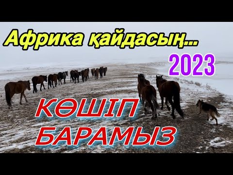 Қар Боран ЖОЛ ЖОҚ!  Қоянның жұты келгендей….