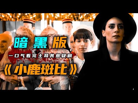 一口气看完2023年最新土耳其悬疑剧《我们在躲谁》母女俩每去一家酒店，就会发生一起案！