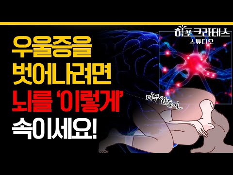 (40분) 🚨대한민국 우울 경보🚨 우울증으로 힘들어하는 사람이 있나요? 우울증에 대처하는 방법의 모든 것!