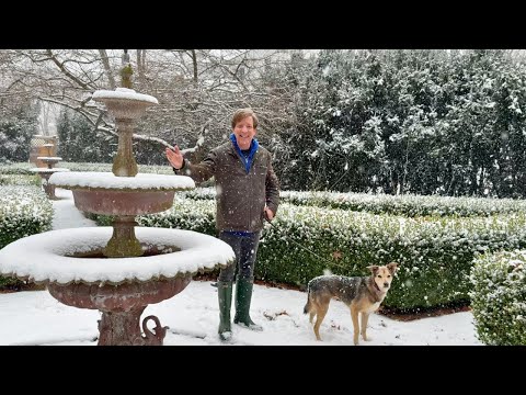 Cooking Like It’s 1932 During a Snowstorm—Delicious & Cozy!