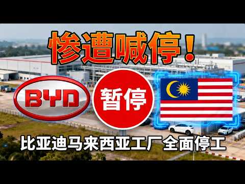 馬來西亞急了?比亞迪設廠喊停後,霹靂州官員主動牽線求續談!
