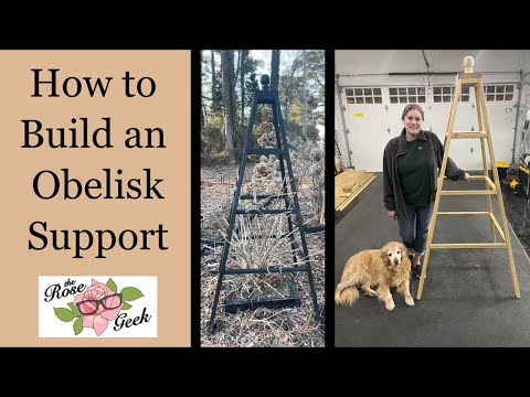 🌹 Build a DIY Decorative Obelisk/Trellis Garden Support for Climbing Roses, Clematis & Hydrangea