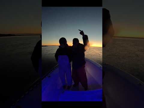 This will make you want to buy a boat