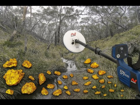 My First Ever Video – 3 Record-Breaking Gold Nuggets in 2 Days!