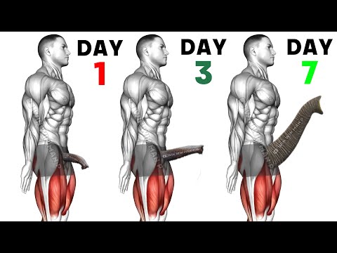 20-Minute Men’s Secret Kegel Exercise 🔥 Proven Routine for Rock-Solid Stamina & Control