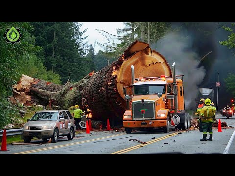 Dangerous Idiots Truck & Heavy Equipment Fails Compilation | Extreme Truck Idiots at Work #54