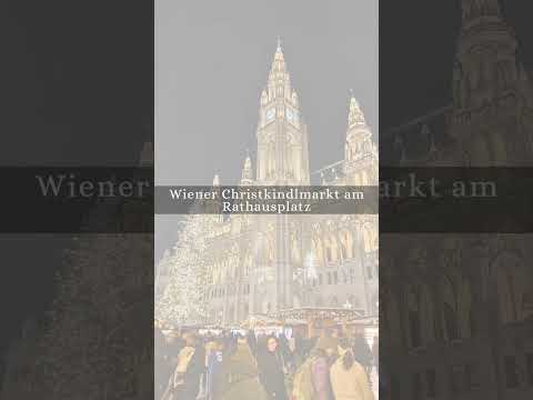 3 Best Christmas Markets in Vienna, Austria🎅